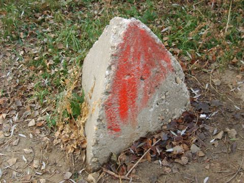 Foto 43